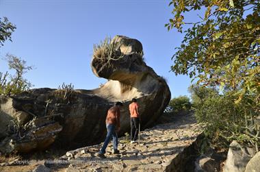 05 Mount_Abu_DSC4078_b_H600